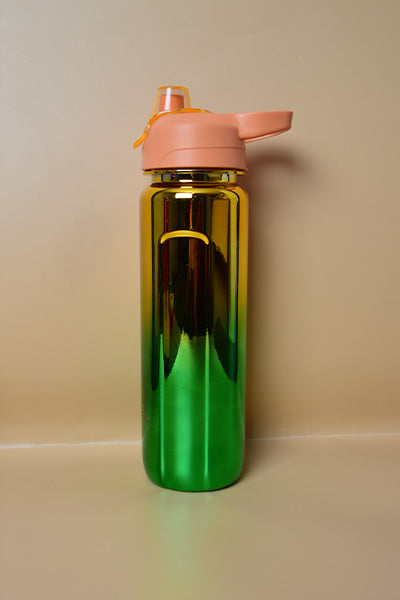 Stylish Multi-color Stainless Steel Water Bottle Hot & Cool Water Bottle with Carry Handle.