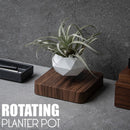 Magnetic levitation Floating air Bonsai