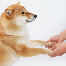 Pet Wash Feet Dehydrater