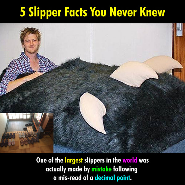 5 Slipper Facts You Never Knew
