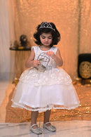 White Pozzy Cinderella Embroidery Frock