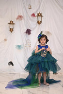 Peacock Blue and Green With Feather  ( 1 to 3 Years)