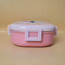 Single Compartment Insulated Lunch Box Stainless Steel with Airtight Lid.