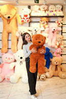 Soft teddy bear-cute teddy bear