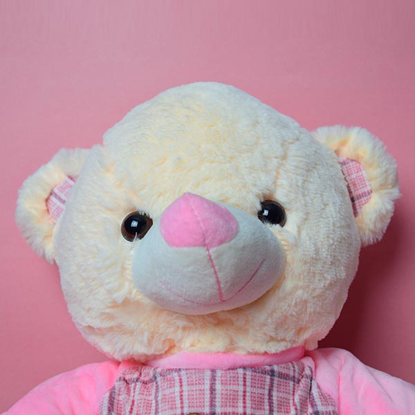 Soft And Huggable Teddy Bear With Pink Love Jersi 17cm - Giant Teddy Bear.
