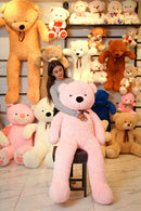 Soft And Huggable Jumbo  Teddy Bear 160cm - Giant Teddy Bear