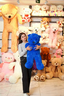 Teddy bear- Soft and plush teddy bear