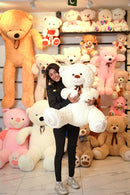 Teddy bear-stuff toy teddy bear