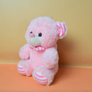 Teddy bear- cute teddy bear