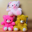 Cute teddy bear- soft and plush teddy bear