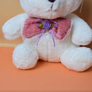 Soft Fluffy Cute Teddy Bear With Colorful Bow, Soft Plush Toy for Your Loved Ones. (Price for 1 piece)