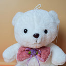 Soft Fluffy Cute Teddy Bear With Colorful Bow, Soft Plush Toy for Your Loved Ones. (Price for 1 piece)