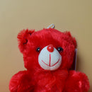 Cute Looking Little Red Teddy Bear with Bow Soft Toy for Kids.