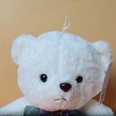 Soft Fluffy Cute Teddy Bear With Colorful Bow, Soft Plush Toy for Your Loved Ones. (Price for 1 piece)