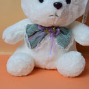Soft Fluffy Cute Teddy Bear With Colorful Bow, Soft Plush Toy for Your Loved Ones. (Price for 1 piece)