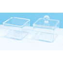 Makeup organizer with mirror (Transparent)