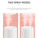 Double Nozzle Night Lamp Humidifier(DQ-117)