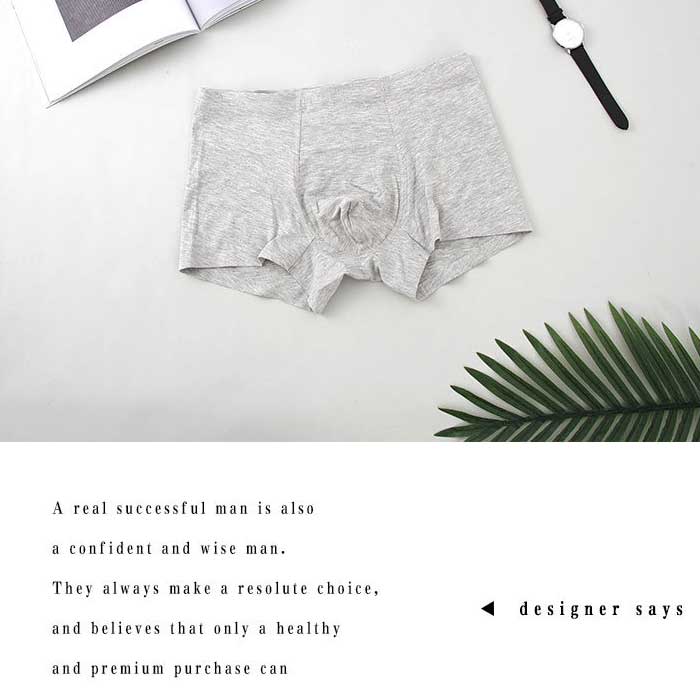 Solid colorless men's underwear (L)