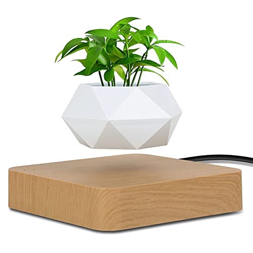 Magnetic levitation Floating air Bonsai